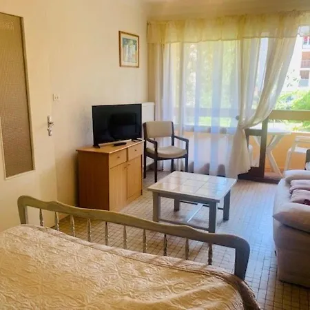 Apartament F1 Avec Balcon, Animaux Admis, Amelie-les-bains - Fr-1-703-128 *