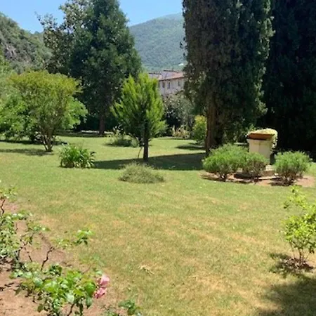 F1 Avec Balcon, Animaux Admis, Amelie-les-bains - Fr-1-703-128 * Amélie-les-Bains-Palalda