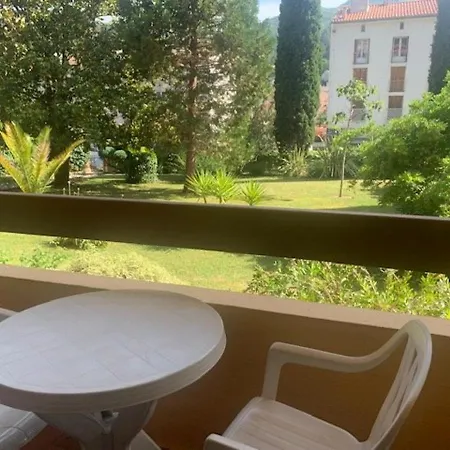 F1 Avec Balcon, Animaux Admis, Amelie-les-bains - Fr-1-703-128