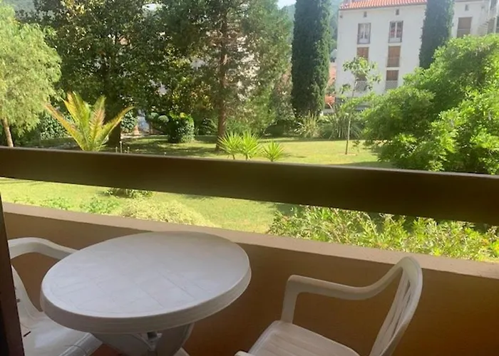 F1 Avec Balcon, Animaux Admis, Amelie-les-bains - Fr-1-703-128