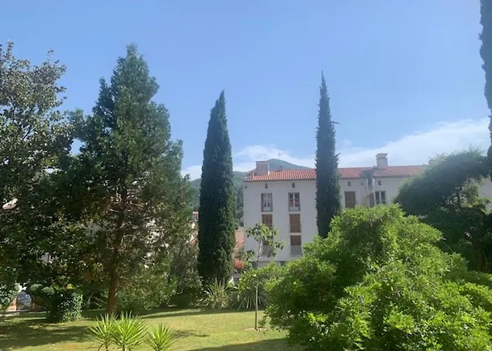 F1 Avec Balcon, Animaux Admis, Amelie-les-bains - Fr-1-703-128 דירה אמלי-לה-באינס-פללדה